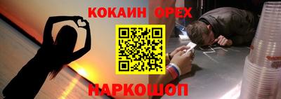 шишки Изобильный
