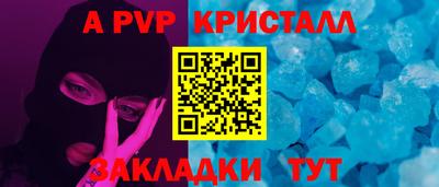шишки Изобильный