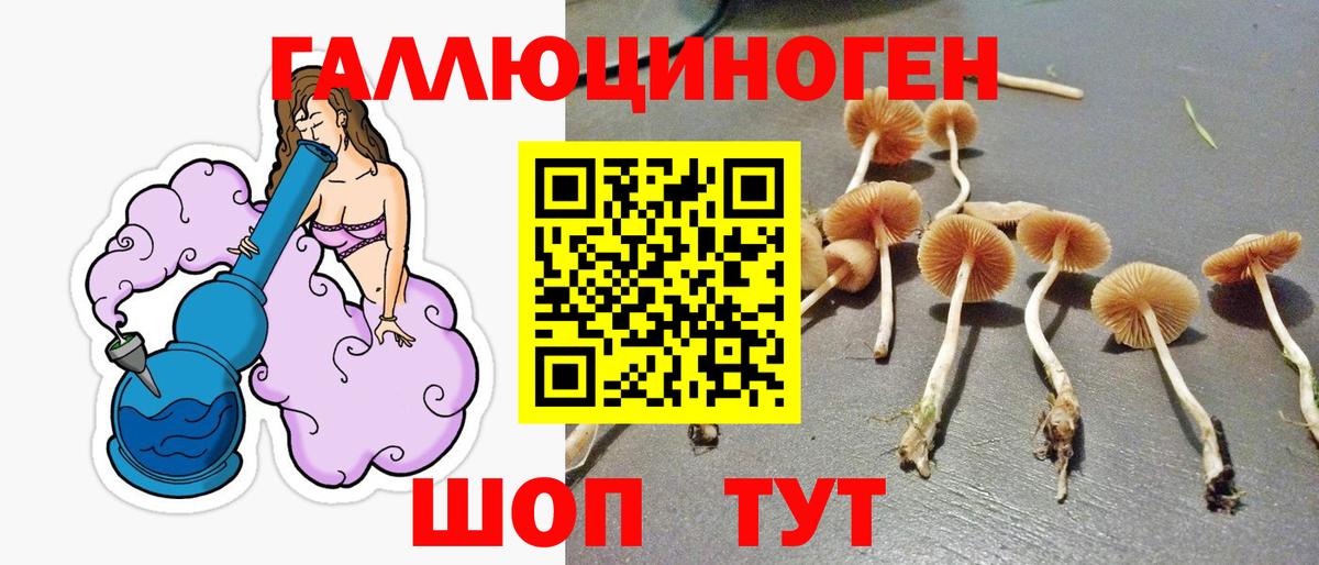 Галлюциногенные грибы GOLDEN TEACHER  Вход с VPN  Дятьково 